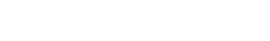 CI Web Group