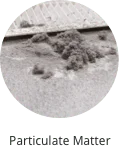 Dust & Allergens